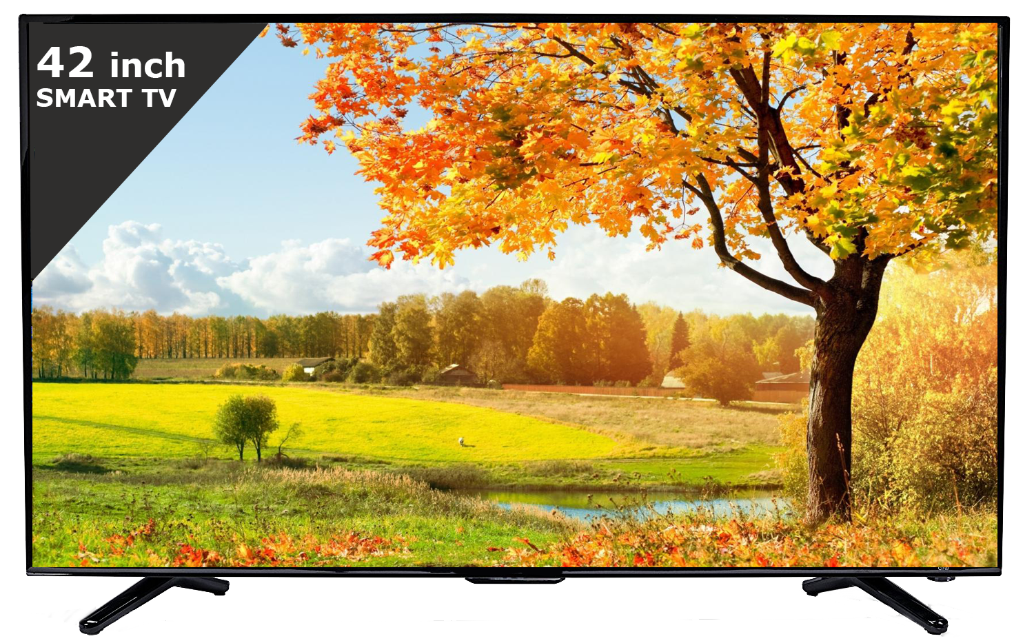 Esaplling 42smart tv