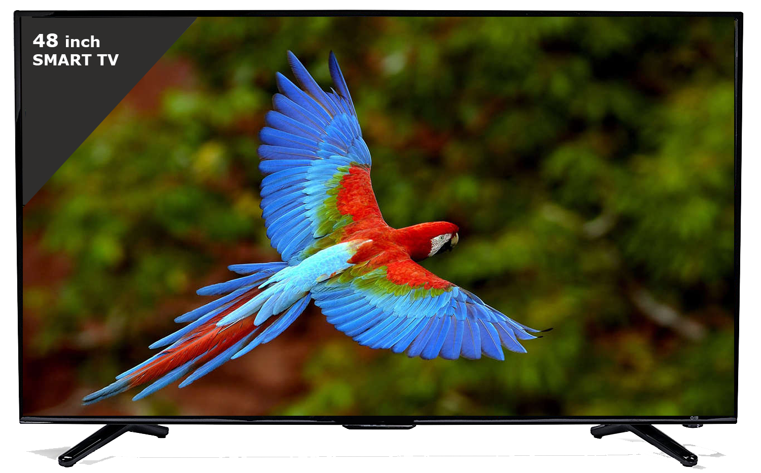 Esaplling 48smart tv